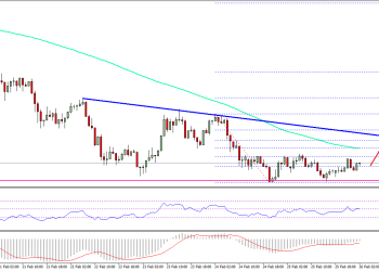 Bitcoin Cash Price Technical Analysis BCH USD