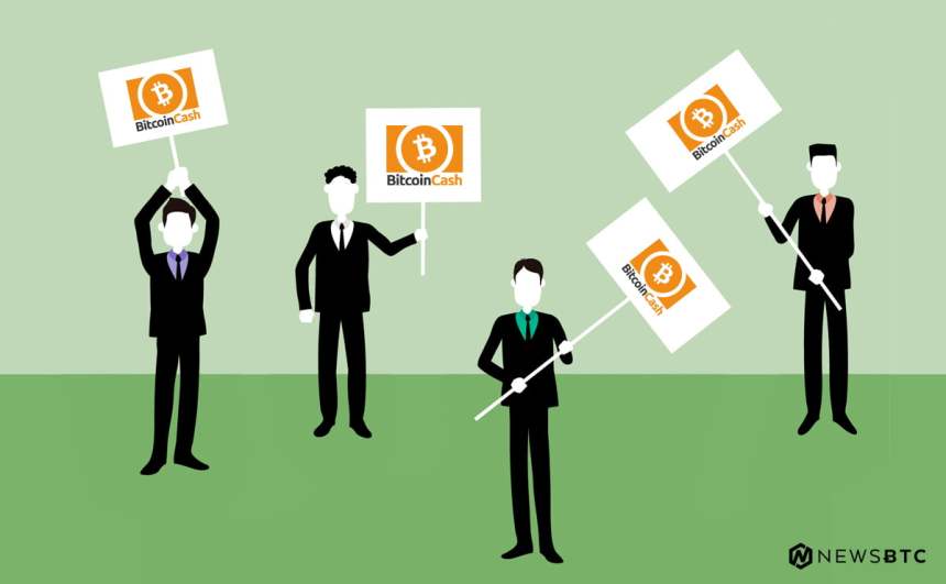 Bitcoin Cash Price Technical Analysis BCH USD