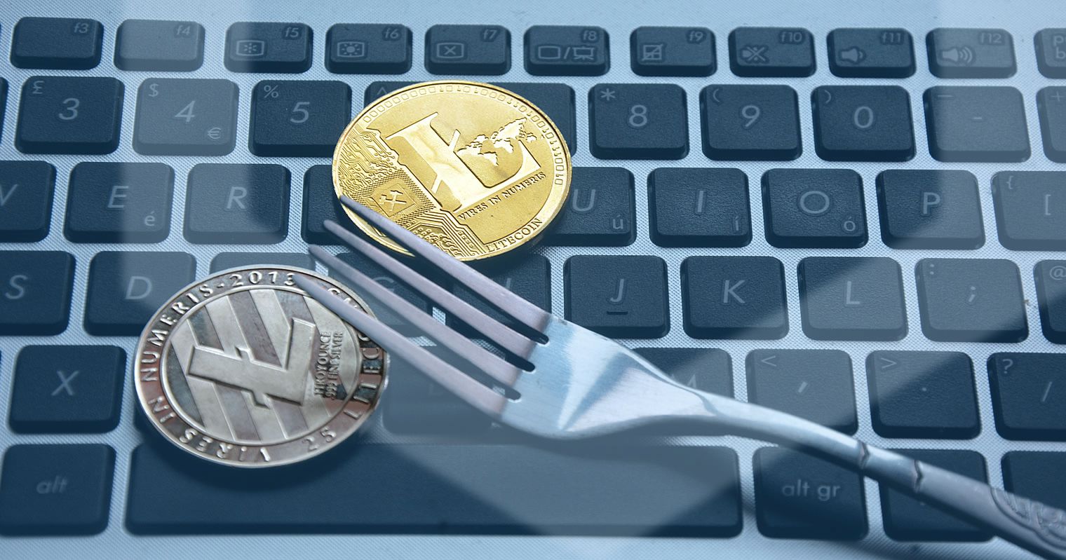What to know for litecoin cash fork bitcoin to usd price chart
