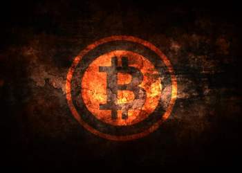 NewsBTC Mt. Gox Trustee Bitcoin Crash