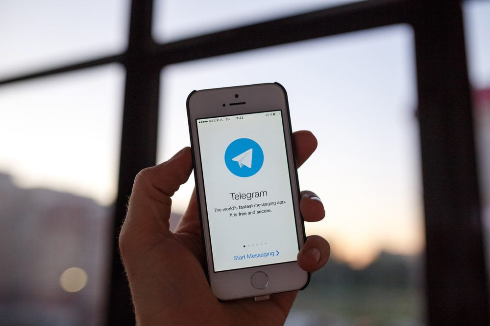 Telegram Copycat Company Exposed as Fraud