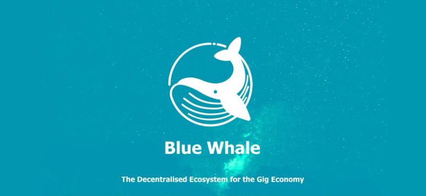 blue whale