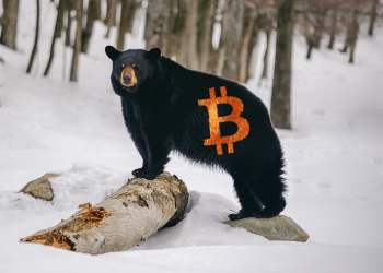 bitcoin bear