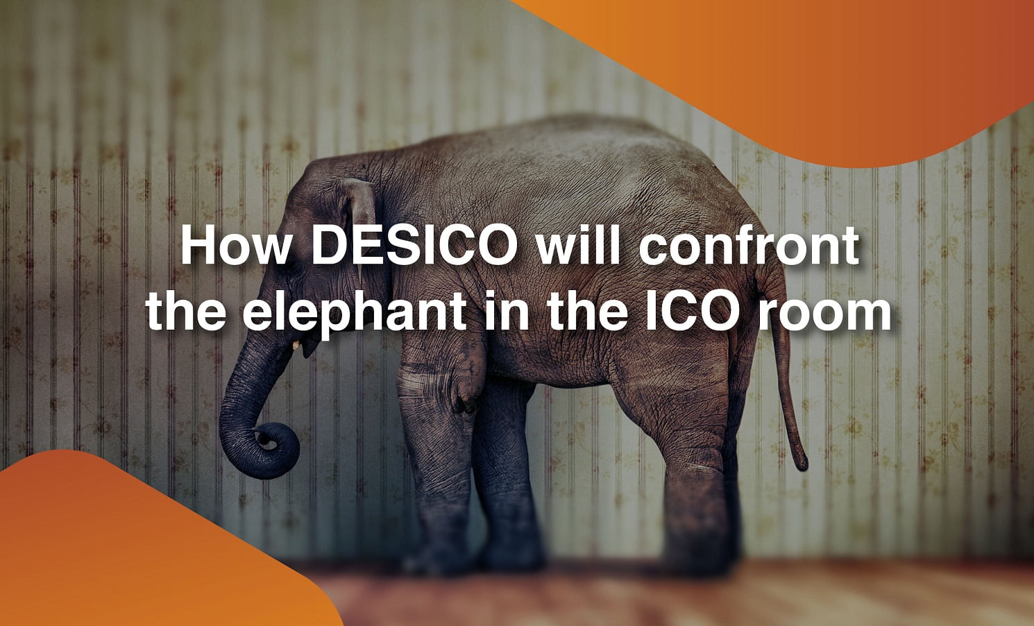 What Needs to Be Done With the Elephant in the ICO Room?