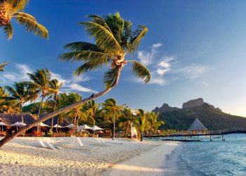 Pacific Island to Establish its Own Government and Cryptocurrency With 300 Households