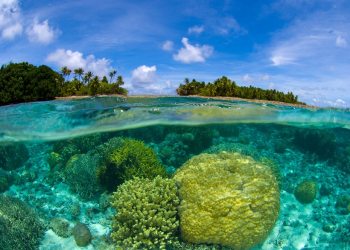 Marshall Islands to Make Cryptocurrency Legal Tender in 2018, Optimistic Outlook