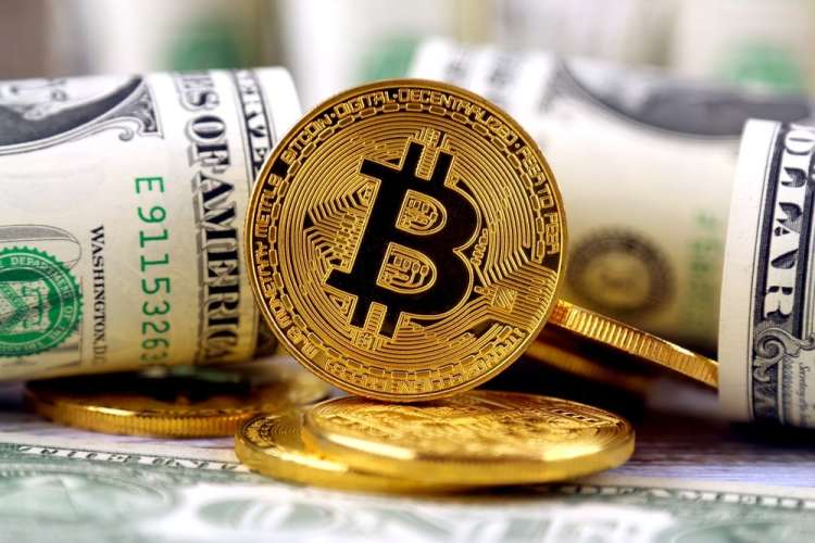 Investors