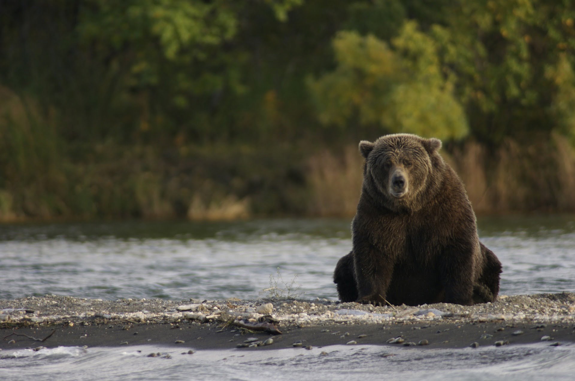 Crypto Markets Continue to Decline, Tokens Especially Affected by Bear Market