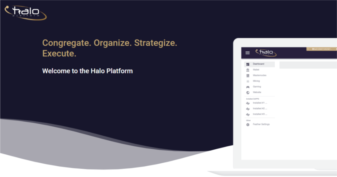HALO, Halo Platform, cryptocurrency management