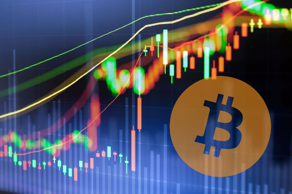 Cryptocurrency Market Update: Bitcoin Dominance Reaches New 2024 High