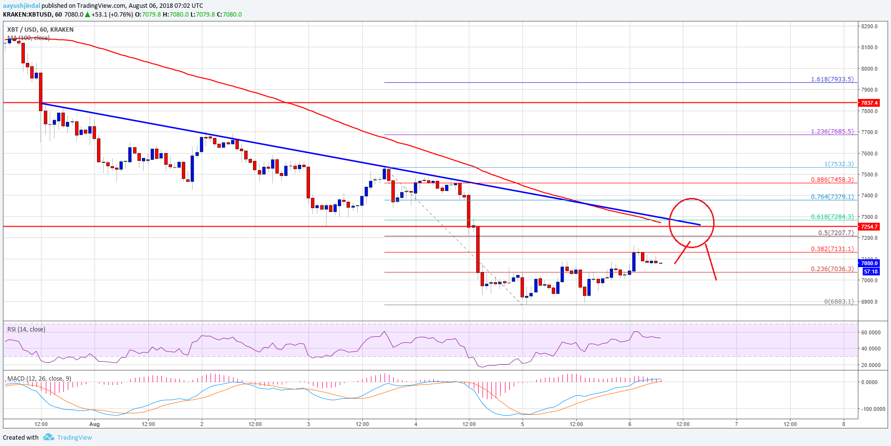 Bitcoin Price Analysis BTC USD