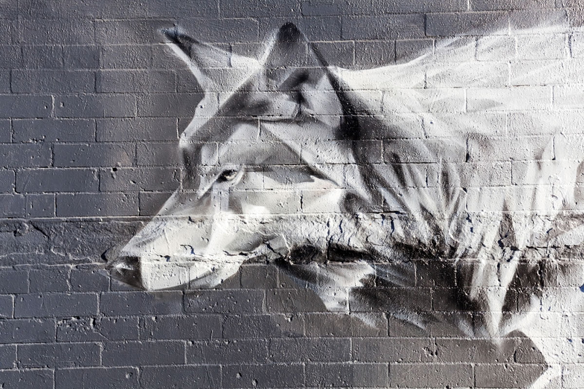 Opinion: Why The “Wolf Of Wall Street’s” Bitcoin Bash Isn’t Valid