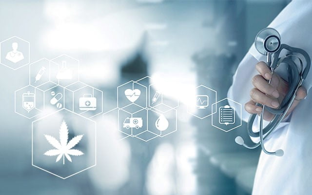 eToro Market Update: Is Cannabis the New Crypto?