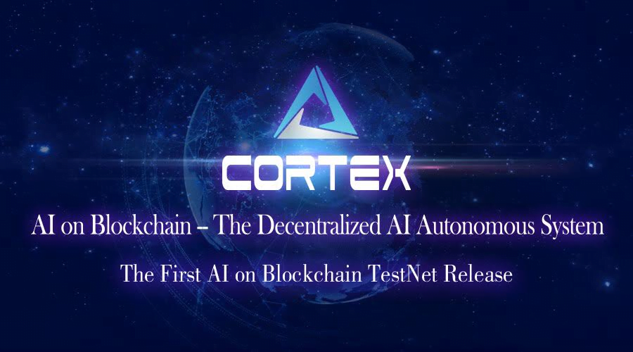 cortex