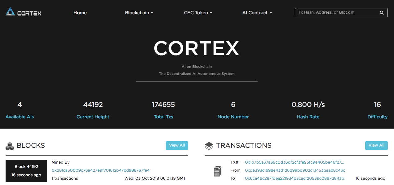 cortex