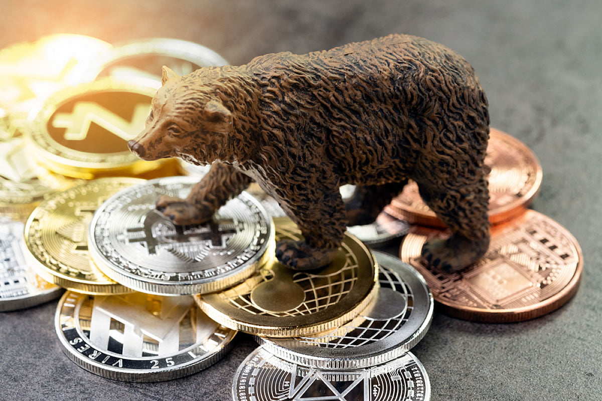 what is a bear in crypto