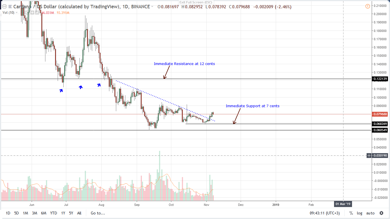 ADA/USD Price Analysis