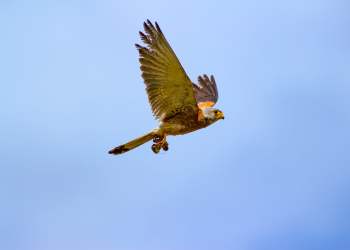 Self-Styled Self-Help Guru Shamelessly Uses Bitcoin Price Crash to Hawk Products