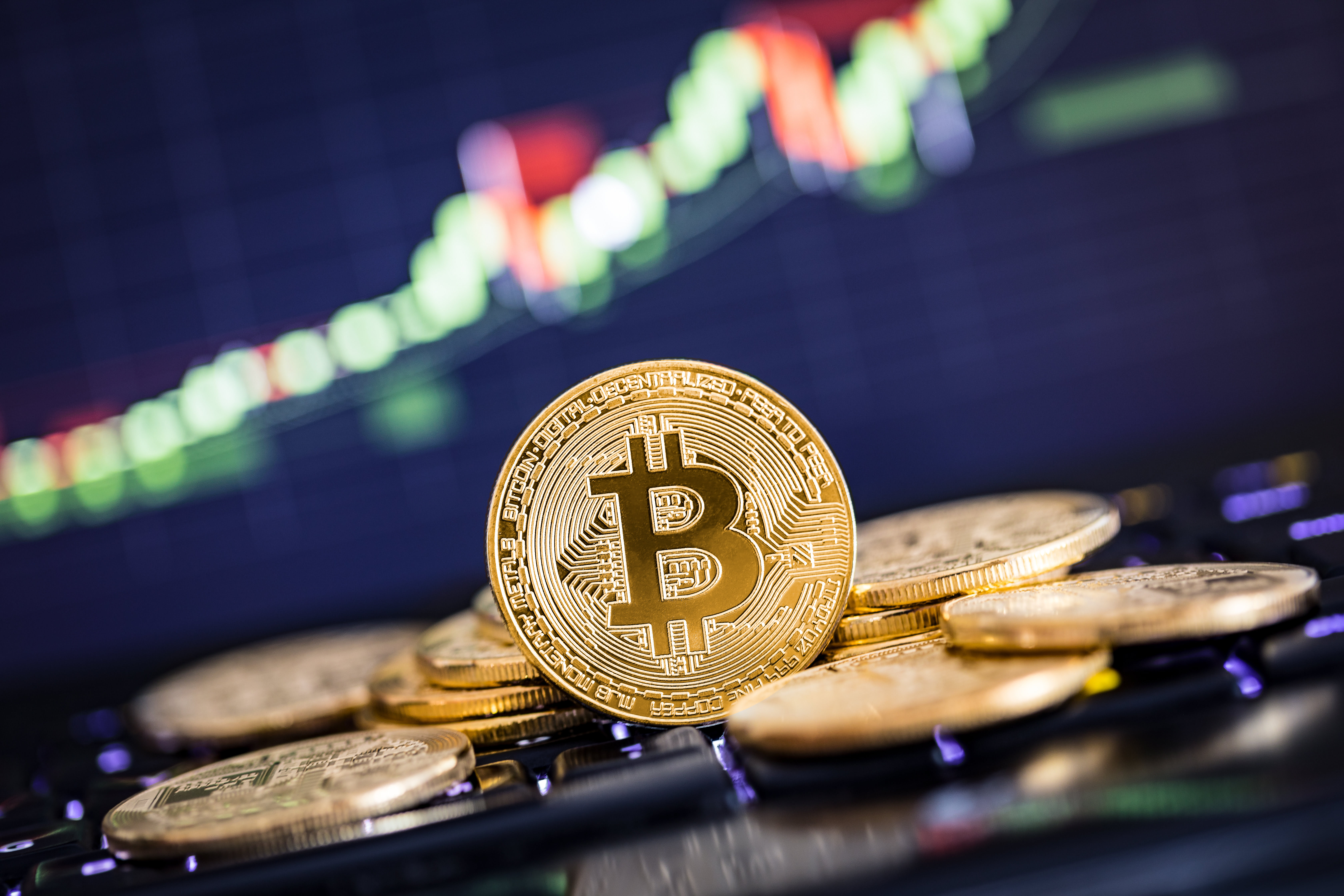 drypto, markets, bitcoin