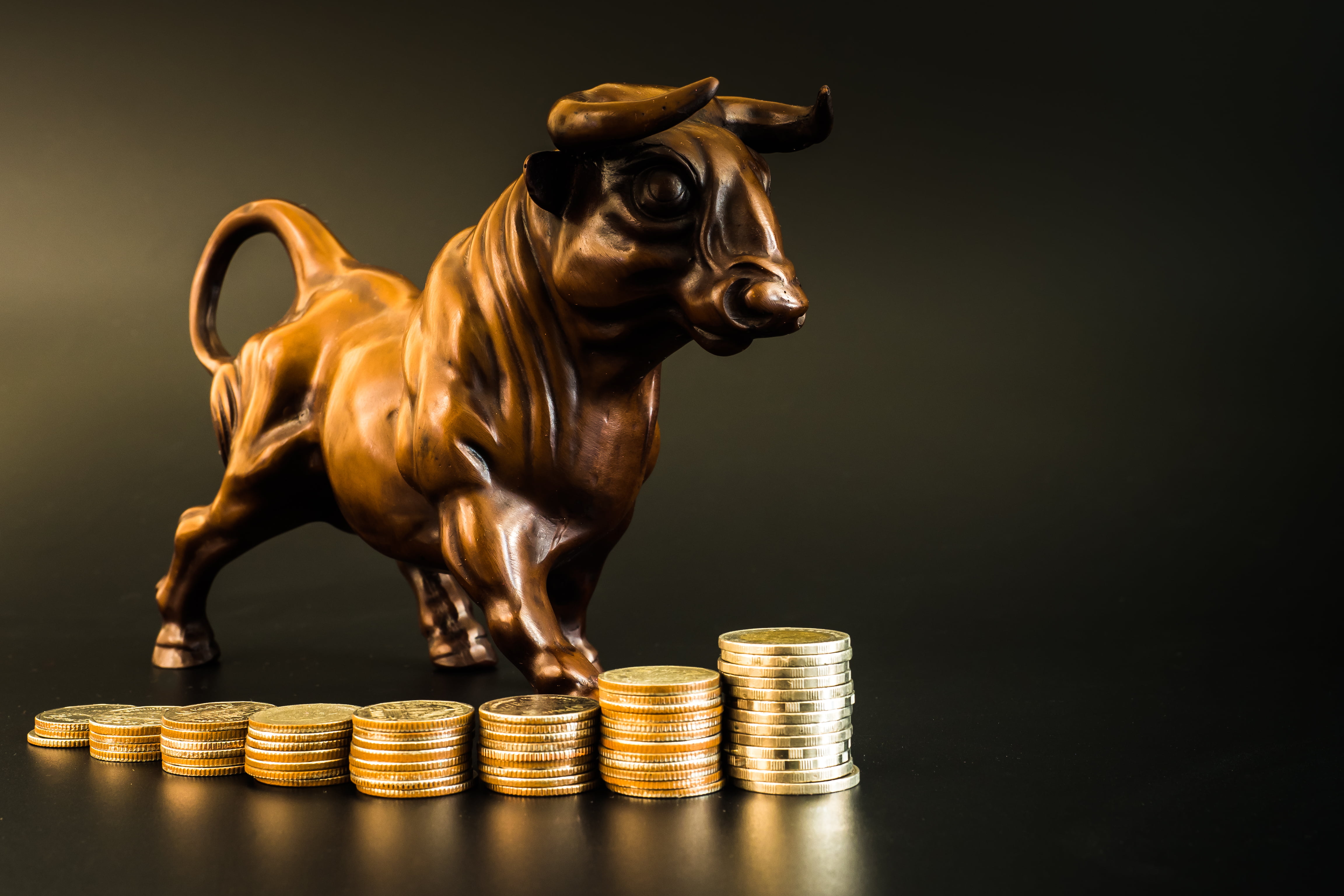 Crypto Markets Surge as Christmas-Rally Materializes