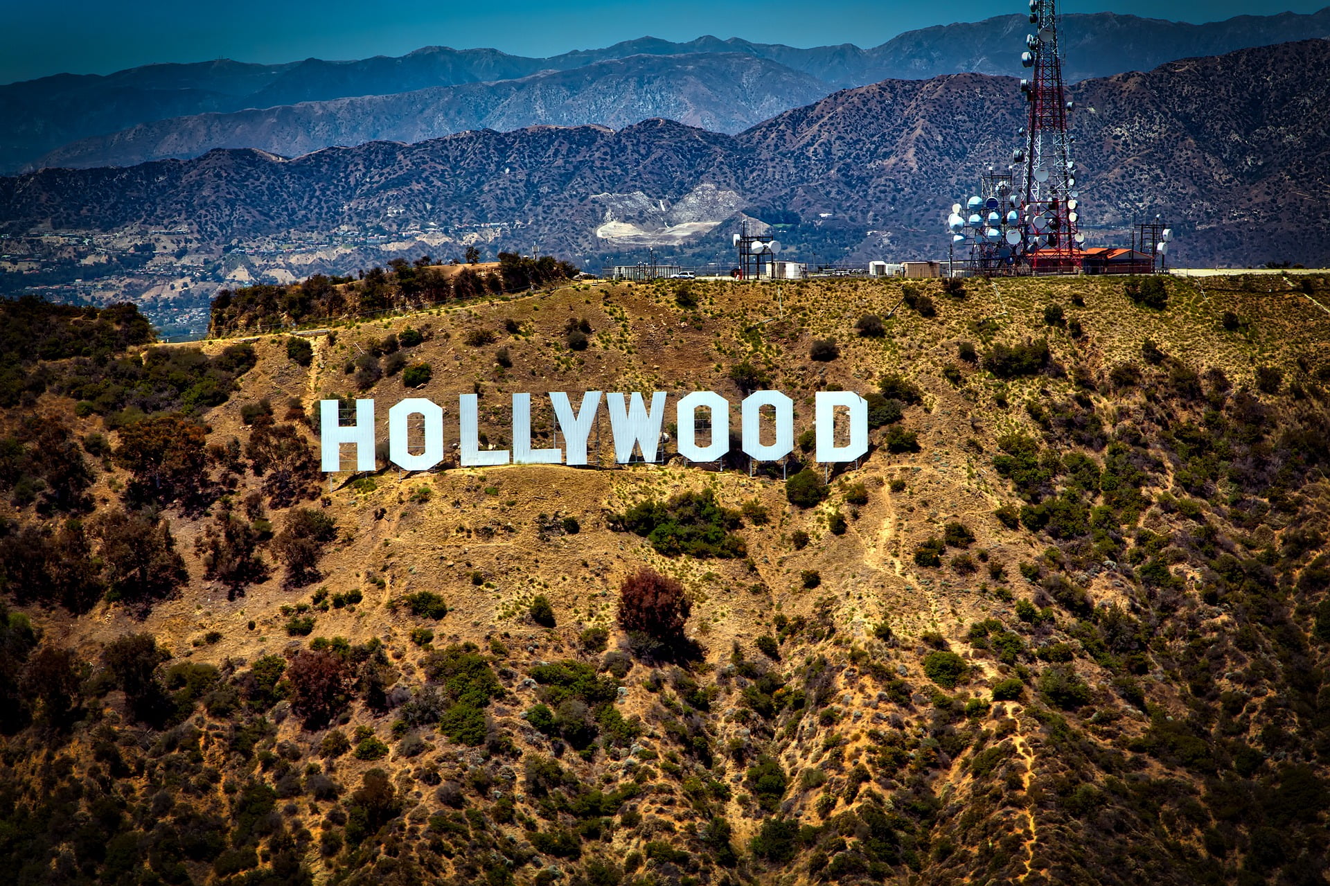 eToro Market Update: Crypto’s Hollywood Disruption