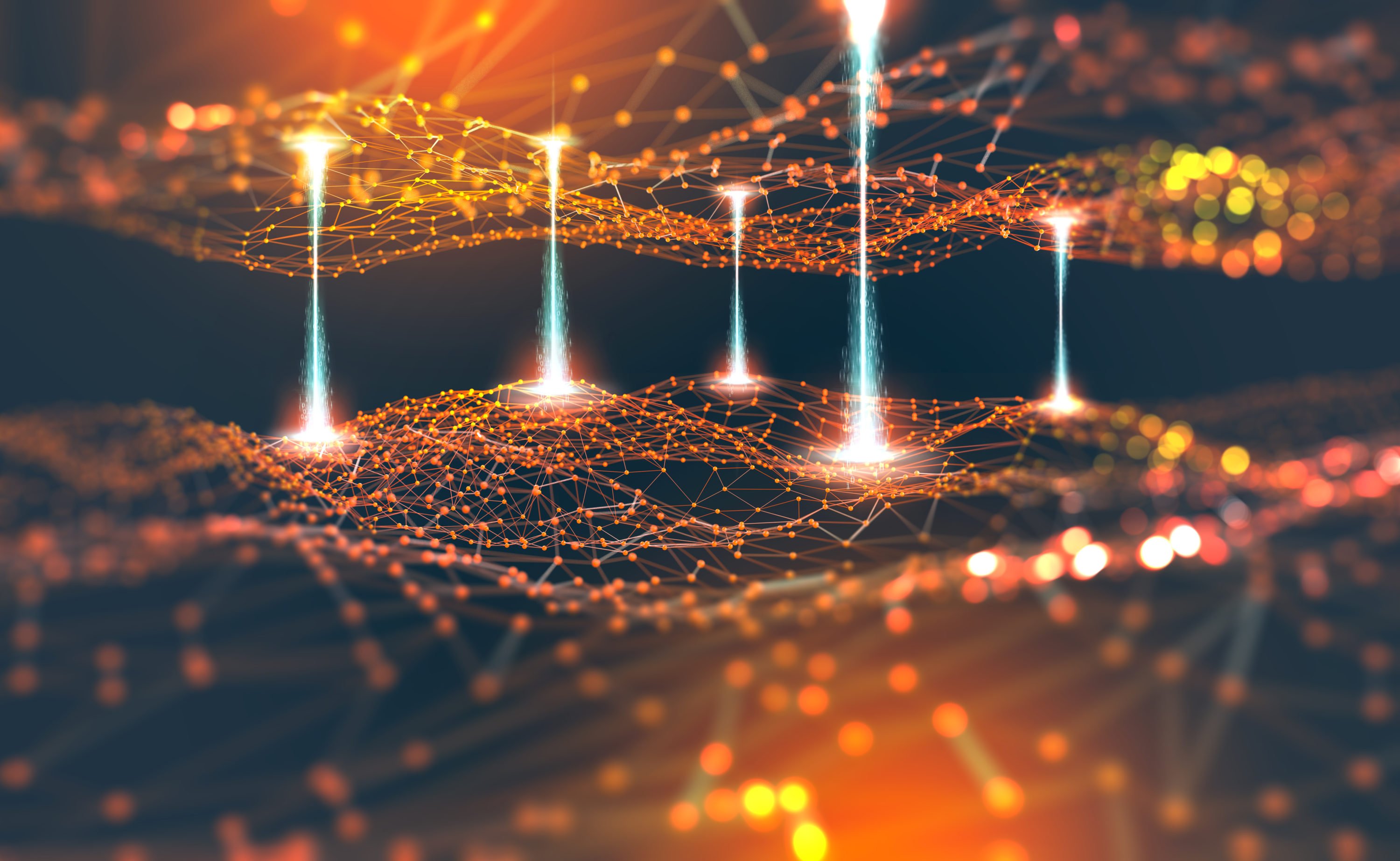 Prominent Investor Optimistic, Awaits Crypto Adoption In 2025