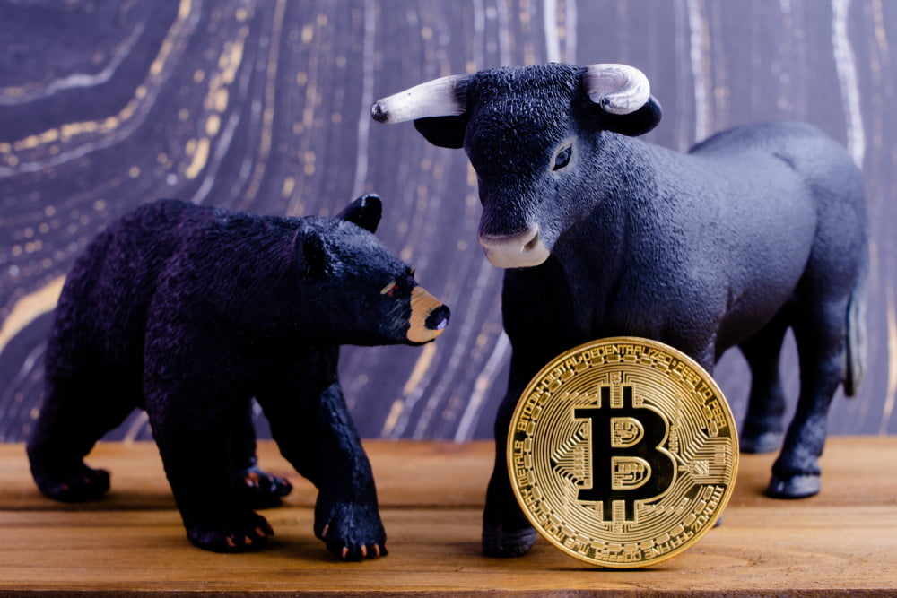 Spot the Difference: Bitcoin Bulls Versus Bitcoin Bears