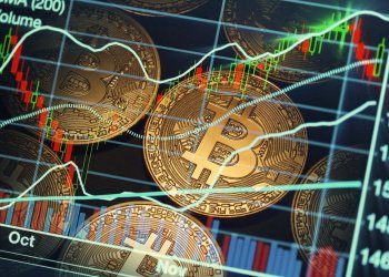 Crypto Analyst Expects Strong Bitcoin Bounce, Monthly MACD Signals Bottom