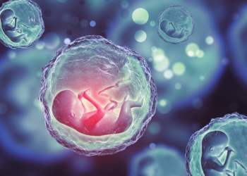 Bitcoin Advocate Plans to Launch Designer Baby Business