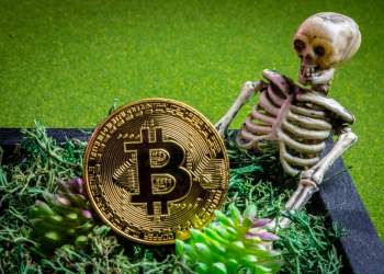 No, The Boss of Bitcoin Isn’t Dead, but You Can’t Call Him Either