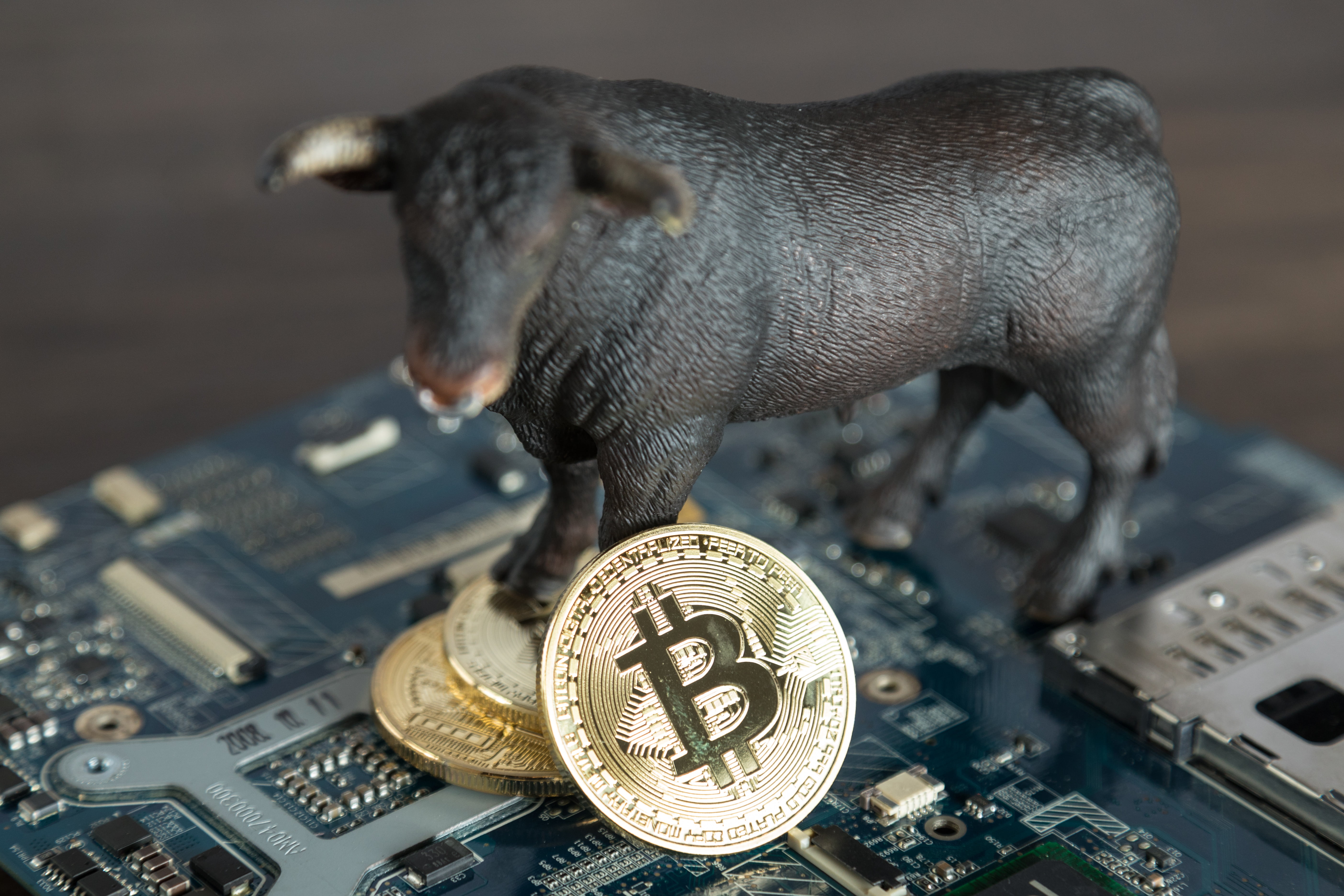 Crypto Analyst: Bitcoin Price (BTC) Still In Bull Trend According to MACD, Accumulate During “Correction”