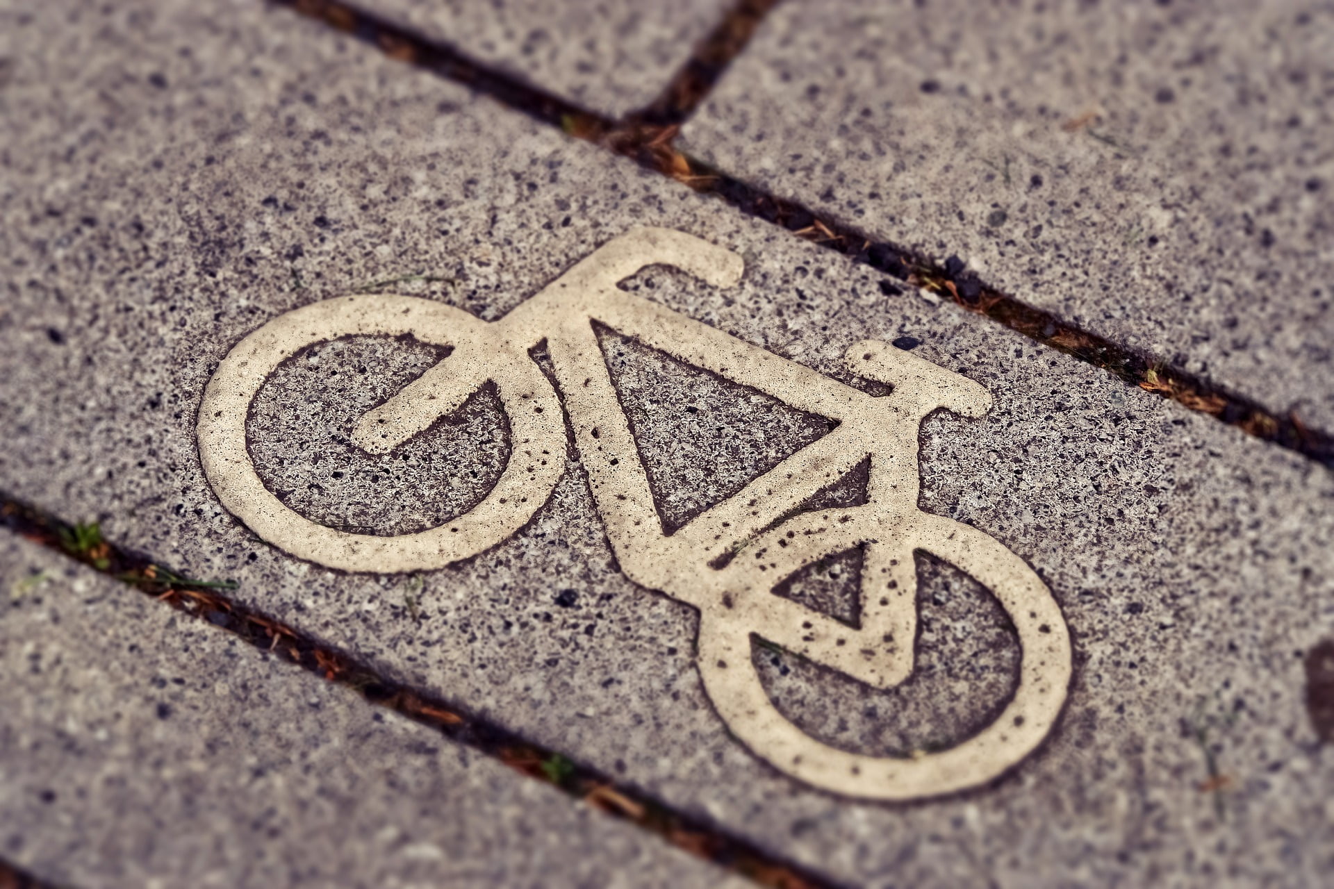 eToro Market Update: Is This a New Cycle?