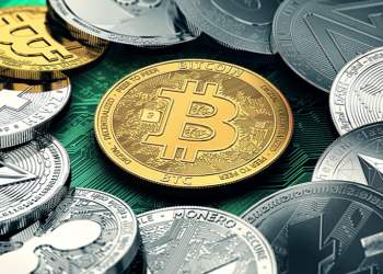 Pantera Capital CEO: Crypto Fundamentals are Much Stronger than in 2014-15