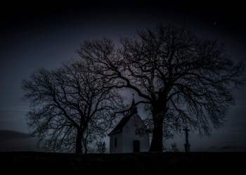 Controversial Crypto Exchange QuadrigaCX Linked in Binary Options Scam