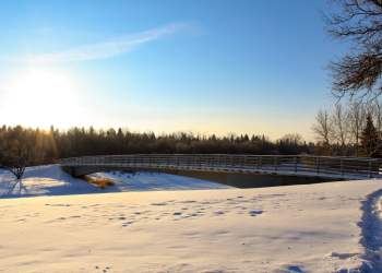 What Crypto Winter? Ethereum Based MakerDAO Posts Staggering Growth