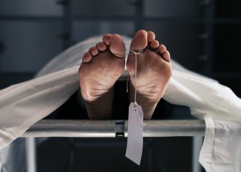 CEO Who Held $150M in Crypto Died in a Region Known for Having a Fake Death Mafia