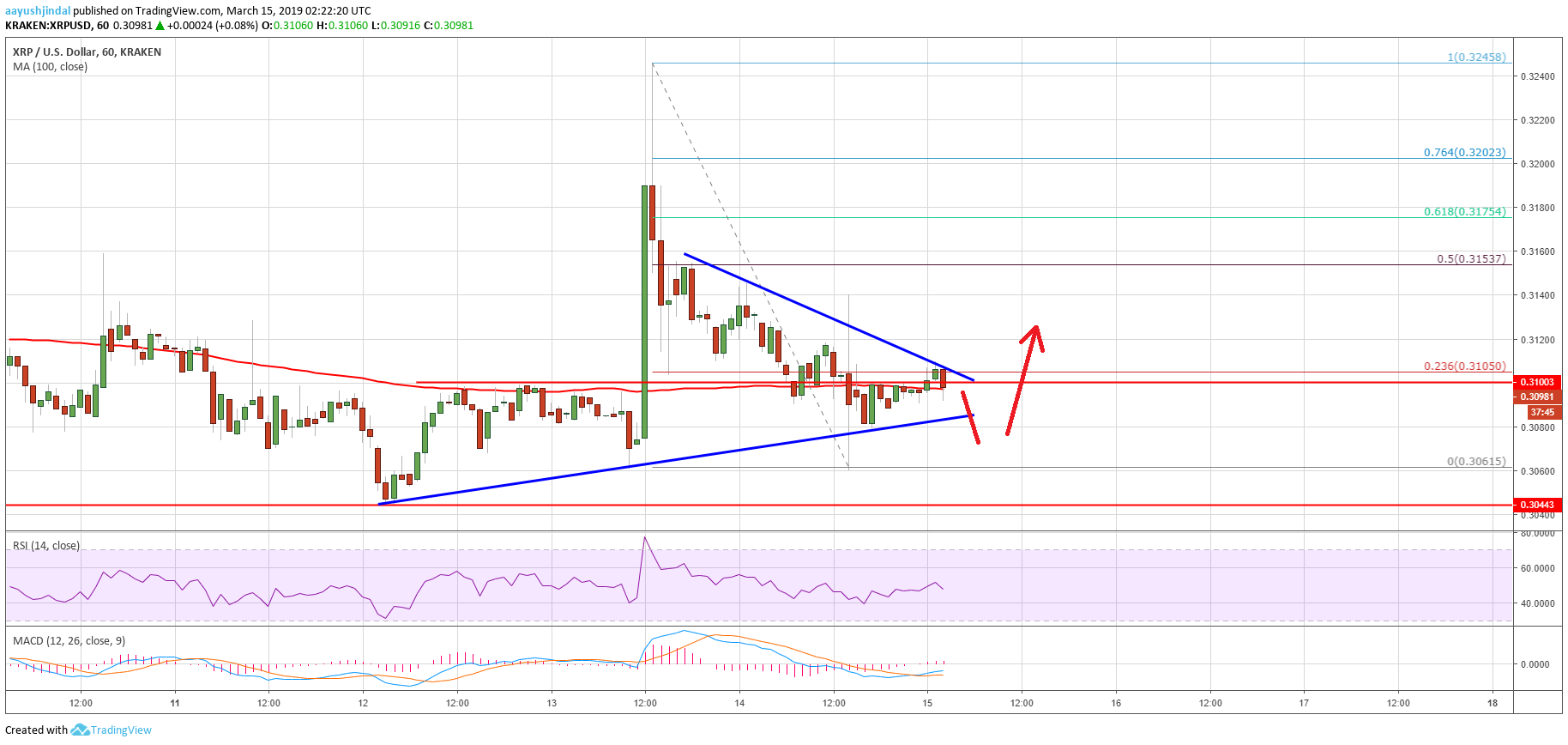 Ripple Price Analysis XRP Chart