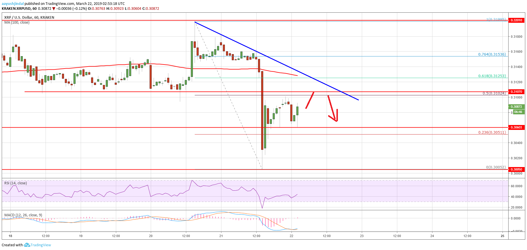 Ripple Price Analysis XRP Chart