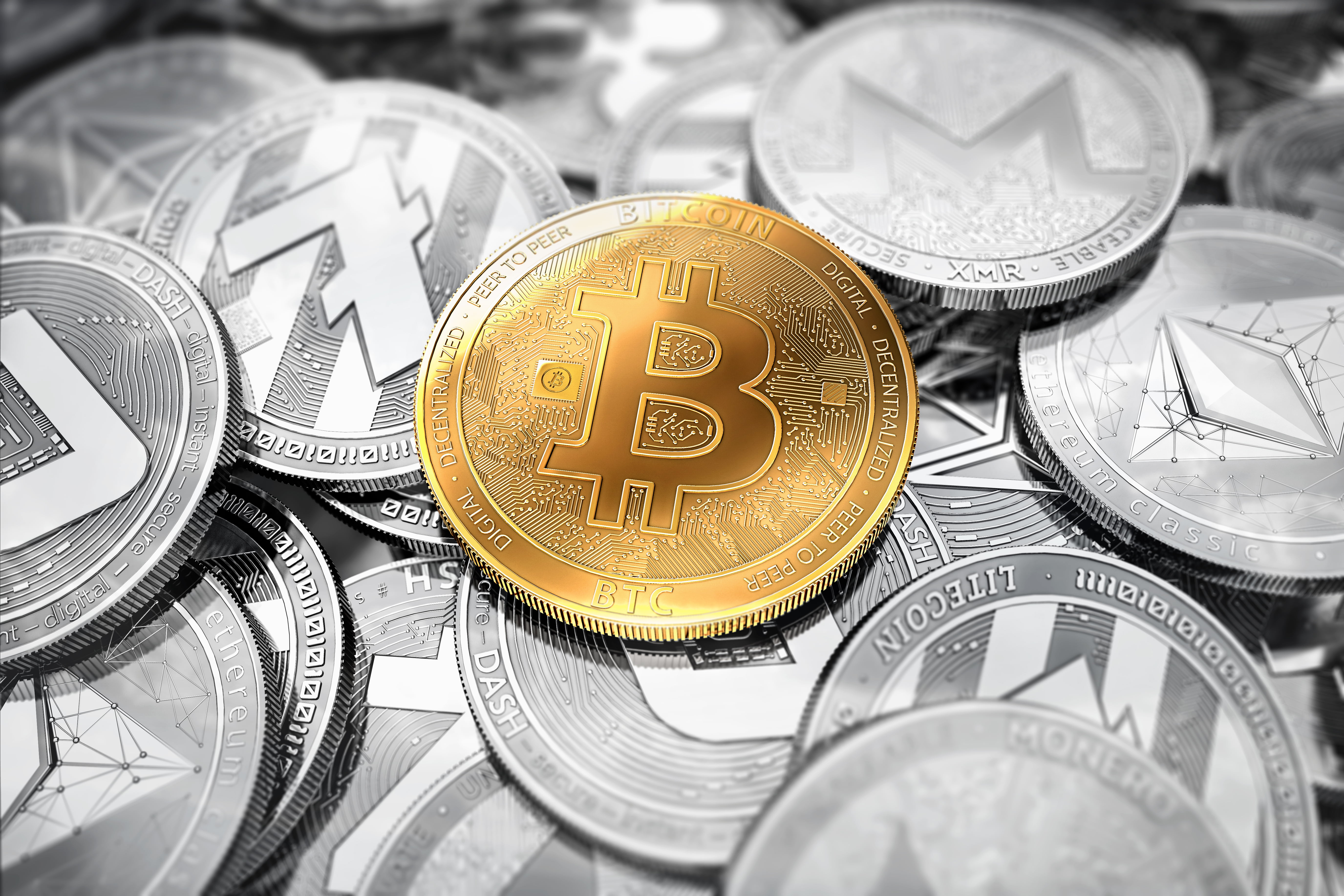 bitcoin social