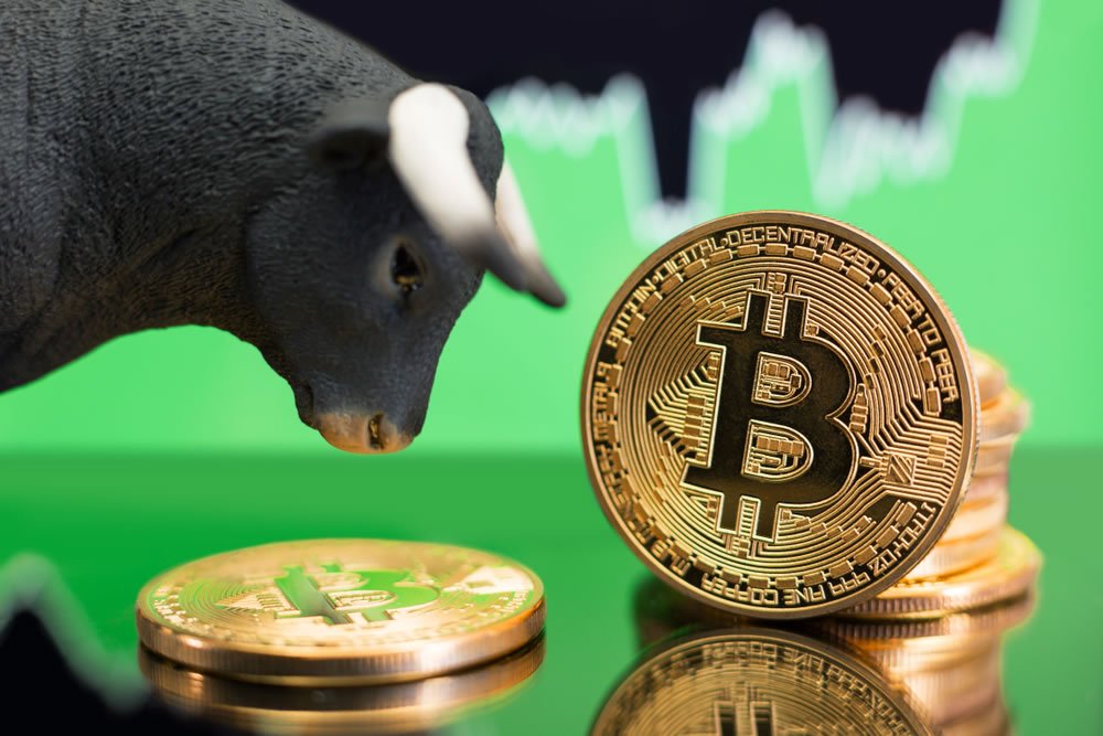 Bitcoin crypto bull run