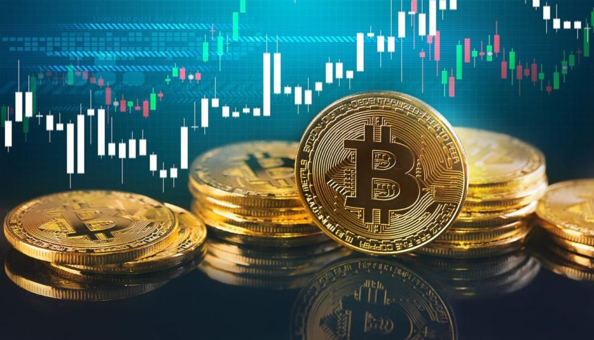 bitcoin bull