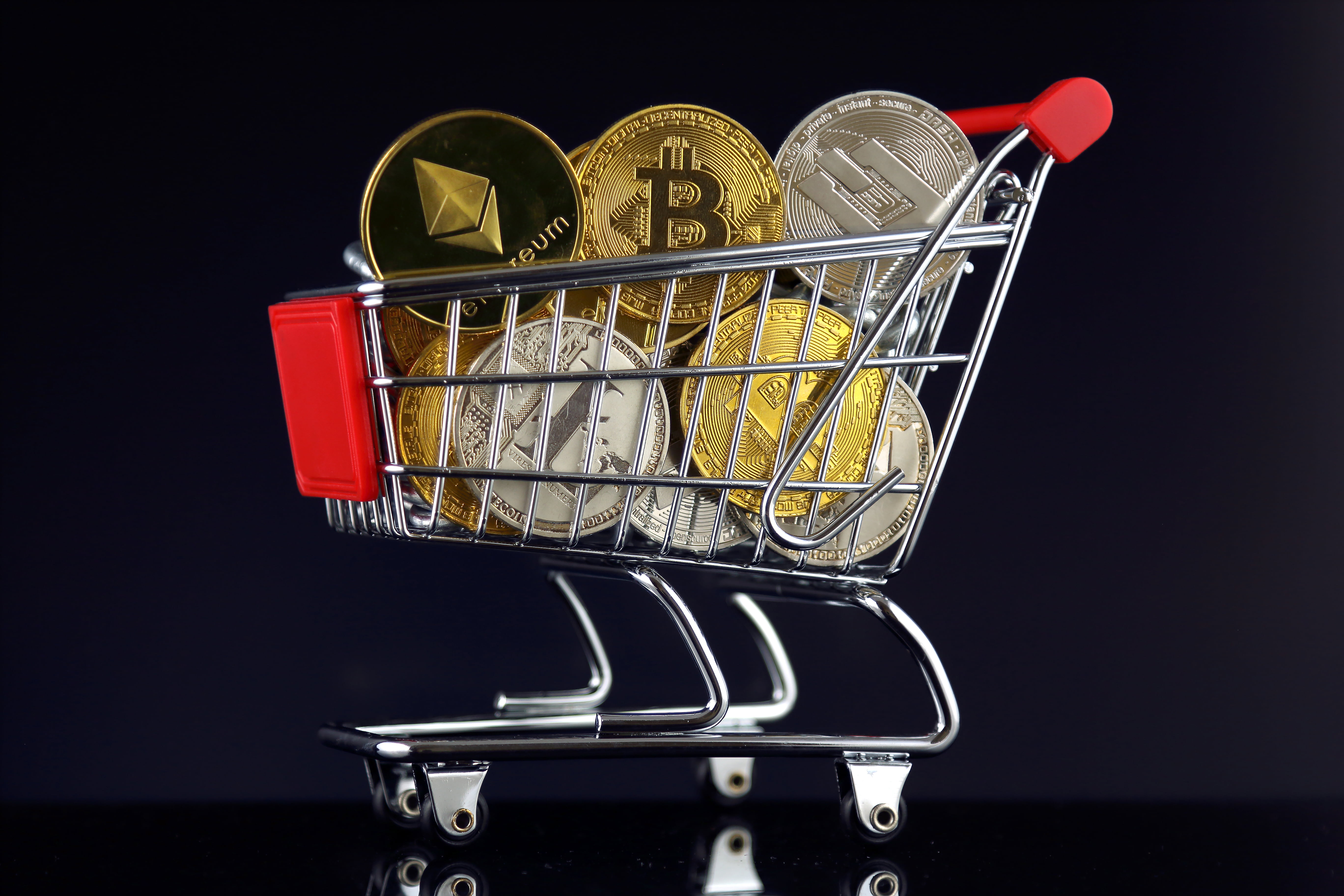 Altcoin Aversion: Poll Shows That Two-Thirds of Crypto Investors Are Bitcoin Maximalists