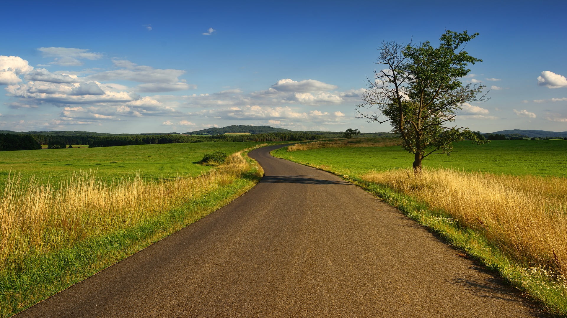 eToro Market Update: Going Alt the Way