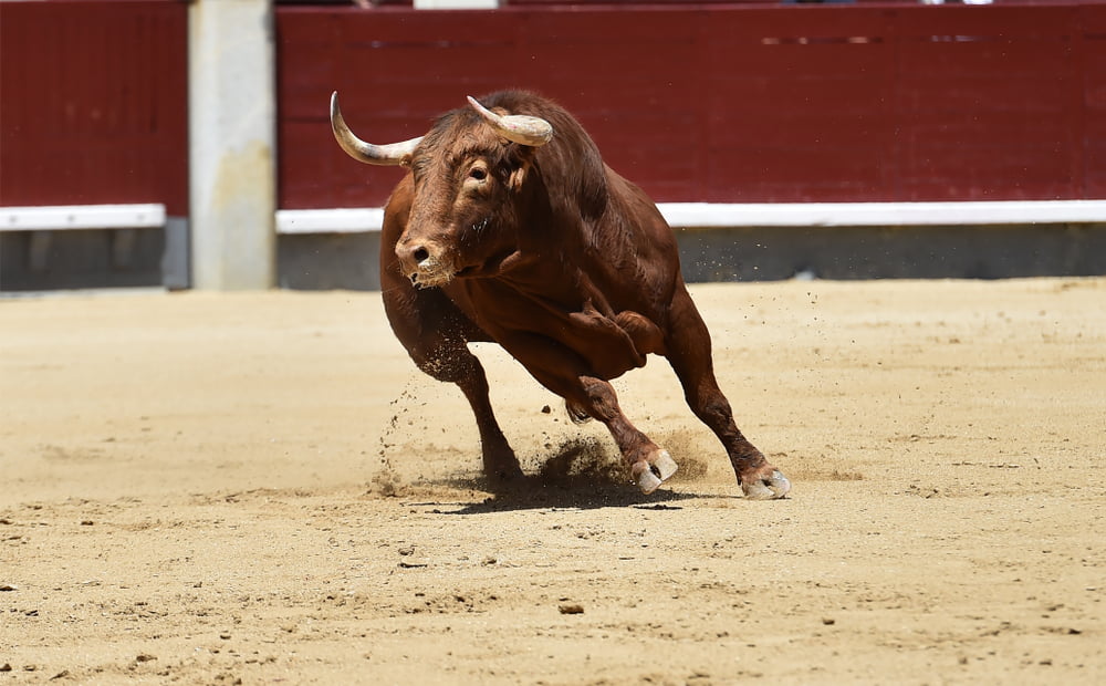 If Real, Booming Crypto Volume Could Push Bitcoin Into “Raging Bull Market”