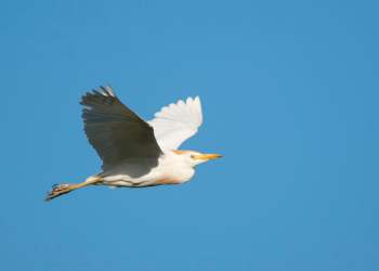 EOS Price Trending in Green Following 11.92% Surge – Can It Rise More?