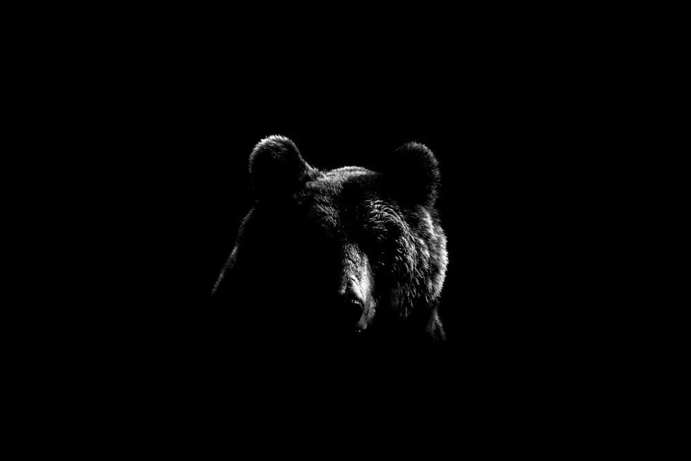 88% of Crypto Volume Could Be False: Is Bitcoin Price Drop Inevitable?