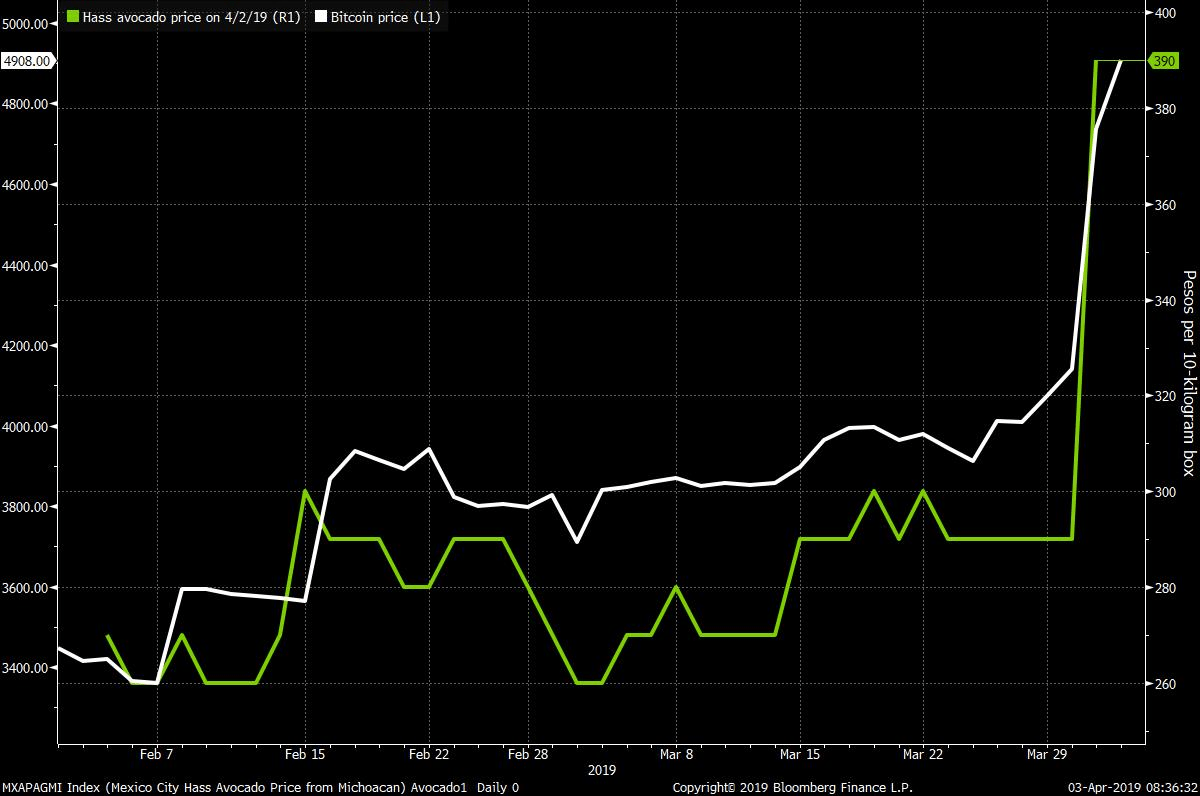 Avocado Futures Chart