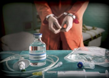 Bitcoin Investor: Thai Military Wants Me Dead Over SeaStead Project