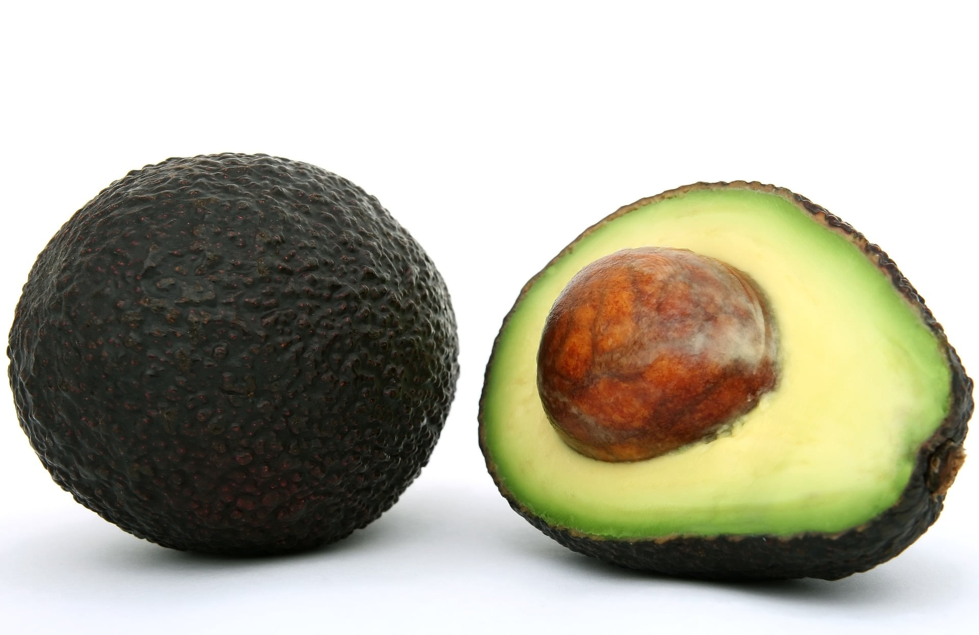 eToro Market Update: Avocadocoin