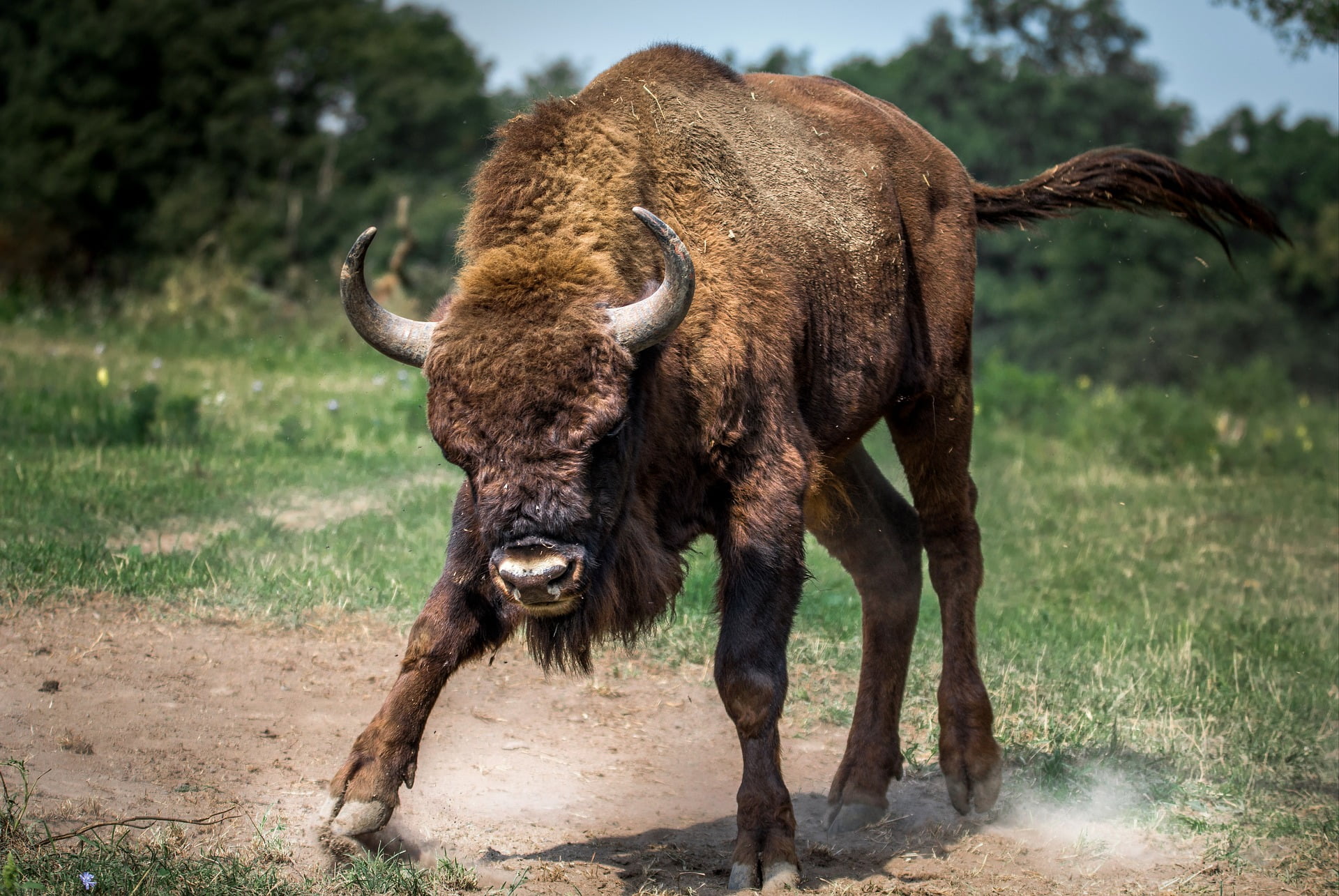 eToro Market Update: More Bullish than Ever